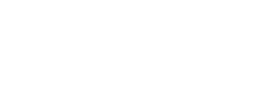 PORCELAINE PARIS